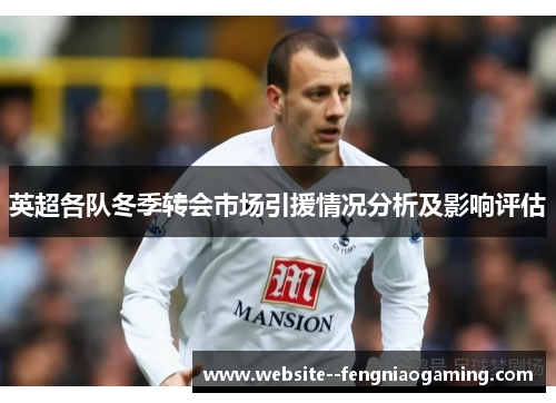 英超各队冬季转会市场引援情况分析及影响评估 英超各队冬季转会市场引援情况分析及影响评估