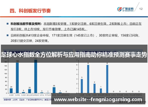 足球心水指数全方位解析与应用指南助你精准预测赛事走势