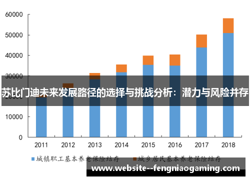 苏比门迪未来发展路径的选择与挑战分析：潜力与风险并存