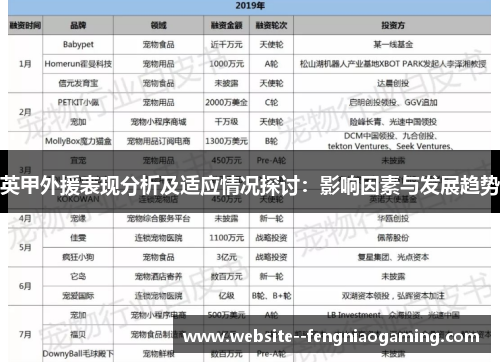 英甲外援表现分析及适应情况探讨：影响因素与发展趋势