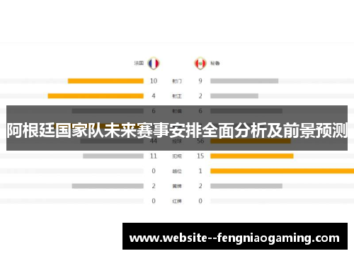 阿根廷国家队未来赛事安排全面分析及前景预测