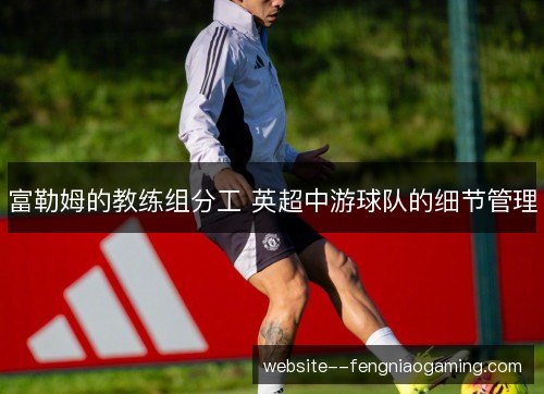 富勒姆的教练组分工 英超中游球队的细节管理